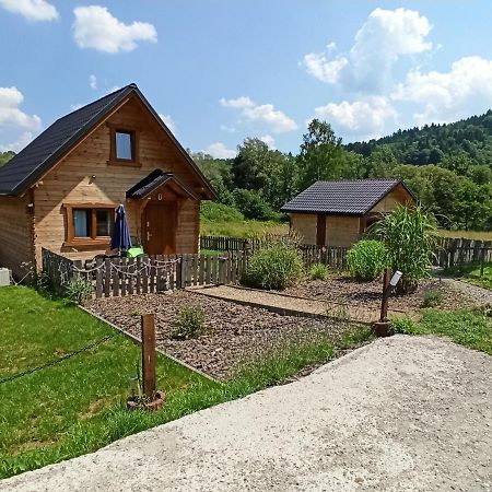 Dolina Rosy Villa Ustrzyki Dolne Exterior foto