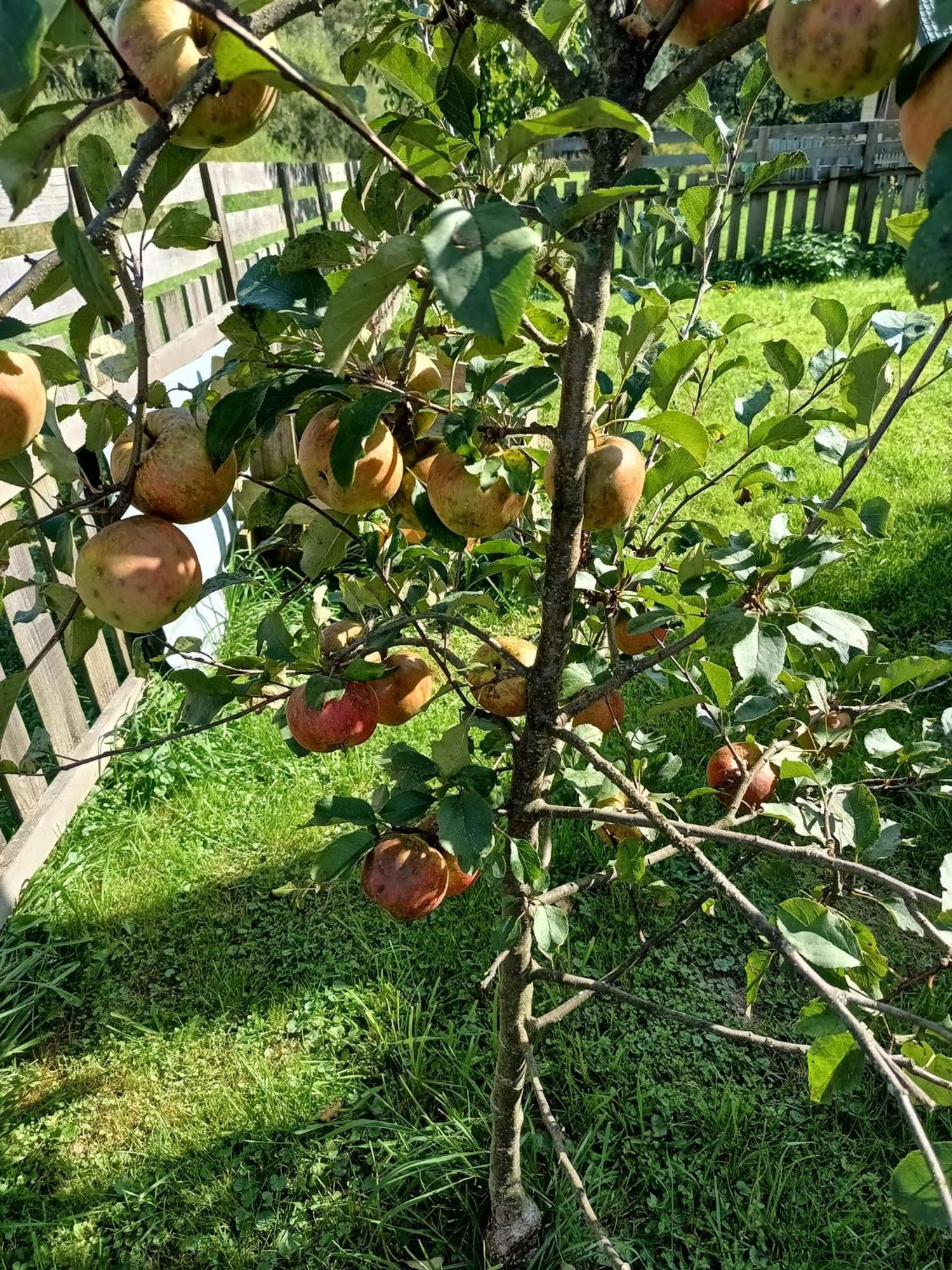 Dolina Rosy Villa Ustrzyki Dolne Exterior foto